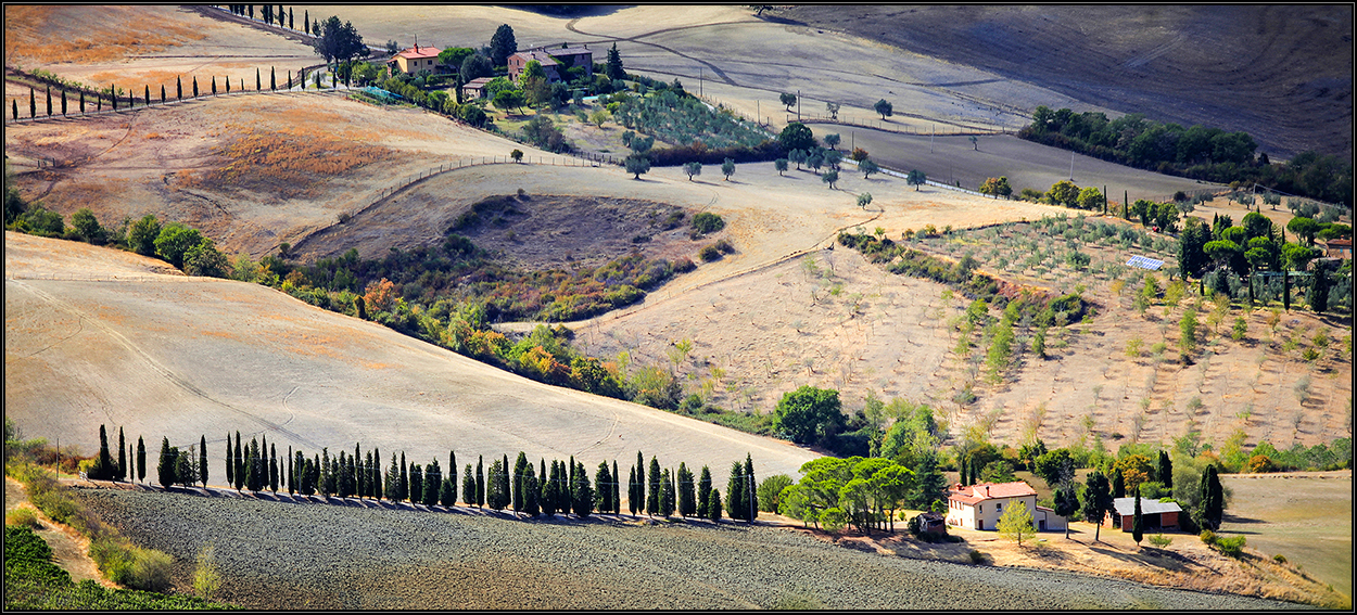 Toscana IV