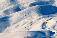 Arosa II
